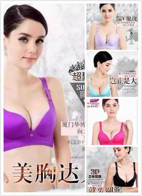 廈門華博基尼內衣怎么招代理?_深圳熱線_